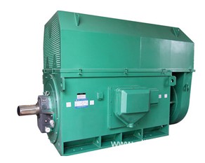 Y4503-4 800KW 380V 늙C(j) 늙C(j)͉