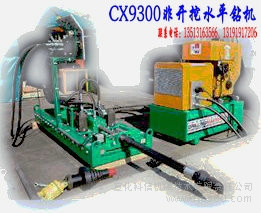 ʢ@C cx9300_ˮƽ@C